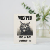 Funny Vintag Gewollt Poster Schrödingers Katze Postkarte (Stehend Vorderseite)