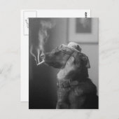 Funny Vintag Hund tragen Hut rauchen Zigarette Postkarte (Vorne/Hinten)