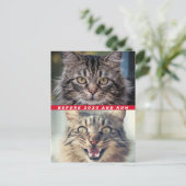 Funny vor und nach 2020 Cat Wie geht es Ihnen? Postkarte (Stehend Vorderseite)
