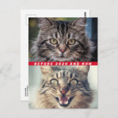 Funny vor und nach 2020 Cat Wie geht es Ihnen? Postkarte (Vorne/Hinten)