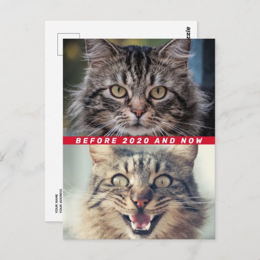 Funny vor und nach 2020 Cat Wie geht es Ihnen? Postkarte (Vorne/Hinten)