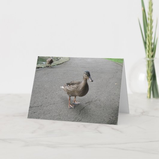 Funny Waddling Duck Birthday Card Karte (Vorderseite)