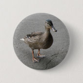 Funny Waddling Duck Button (Vorderseite)