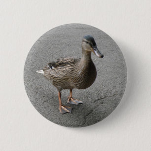 Funny Waddling Duck Button