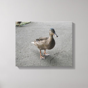 Funny Waddling Duck Canvas Print Leinwanddruck