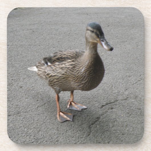 Funny Waddling Duck Cork Untersetzer (Vorderseite)