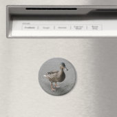 Funny Waddling Duck Magnet (In Situ (Geschirrspüler))