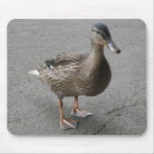 Funny Waddling Duck Mousepad (Vorne)