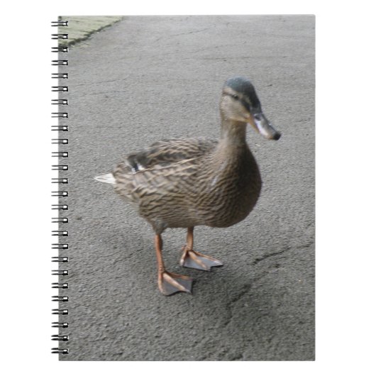 Funny Waddling Duck Notebook Notizblock (Vorderseite)