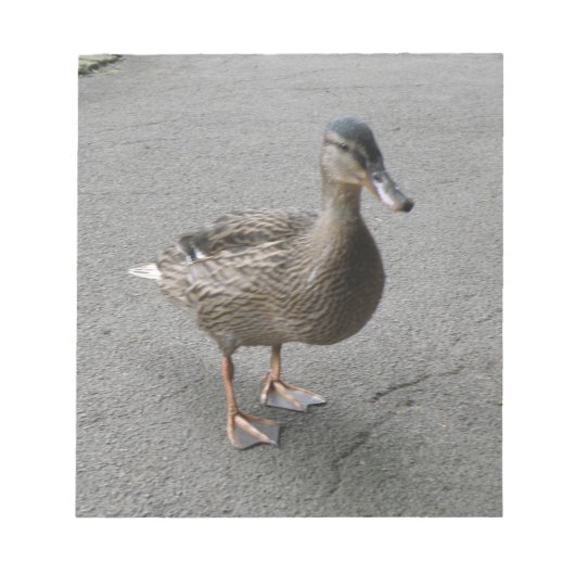 Funny Waddling Duck Notepad Notizblock (Vorderseite)
