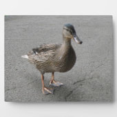 Funny Waddling Duck Plaque Fotoplatte (Vorderseite)