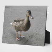 Funny Waddling Duck Plaque Fotoplatte (Seite)