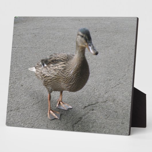 Funny Waddling Duck Plaque Fotoplatte (Seite)
