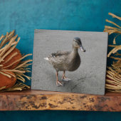 Funny Waddling Duck Plaque Fotoplatte (Seite)