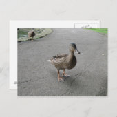 Funny Waddling Duck Postcard Postkarte (Vorne/Hinten)