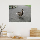 Funny Waddling Duck Print Poster (Küche)
