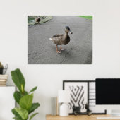 Funny Waddling Duck Print Poster (Heimbüro)
