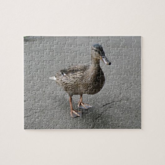 Funny Waddling Duck Puzzle (Horizontal)