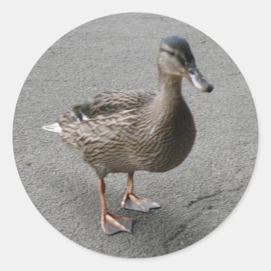 Funny Waddling Duck Stickers (Vorderseite)