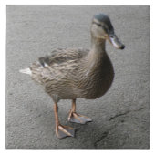 Funny Waddling Duck Tile Fliese (Vorderseite)