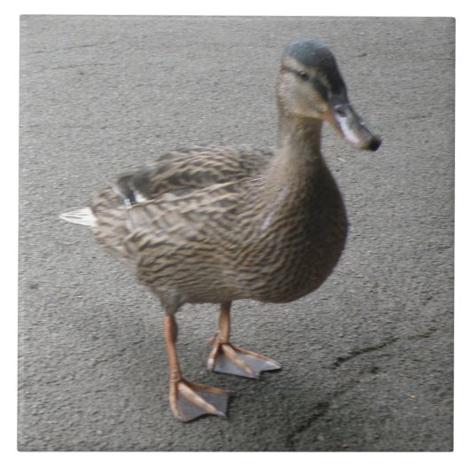 Funny Waddling Duck Tile Fliese (Vorderseite)