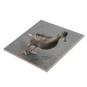 Funny Waddling Duck Tile Fliese (Seite)