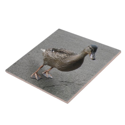 Funny Waddling Duck Tile Fliese (Seite)