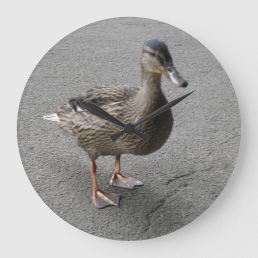 Funny Waddling Duck Wall Clock Große Wanduhr (Vorderseite)