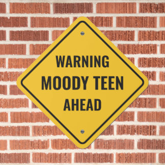 Funny Warning Moody Tee vor