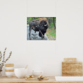 Funny, was guckst du dir an? Bull Bison Poster (Küche)