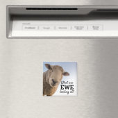 Funny, was wir uns Schafe ansehen Magnet (In Situ (Geschirrspüler))