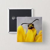 Funny Wasp Buttons (Vorne & Hinten)