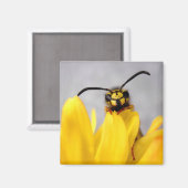 Funny Wasp Magnet (Vorderseite/Rückseite)