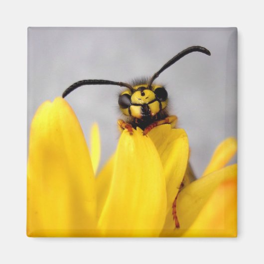Funny Wasp Magnet (Vorne)