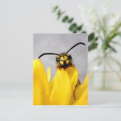 Funny Wasp Postcard Postkarte (Stehend Vorderseite)