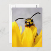 Funny Wasp Postcard Postkarte (Vorne/Hinten)