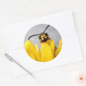 Funny Wasp Runder Aufkleber (Umschlag)