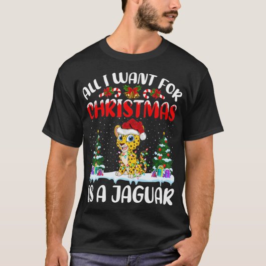 Funny Weihnachtsmannmütze Alles, was ich zu Weihna T-Shirt (Vorderseite)