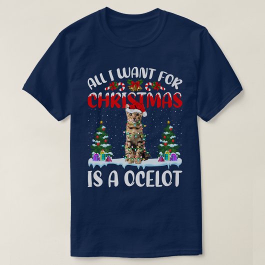 Funny Weihnachtsmannmütze Alles, was ich zu Weihna T-Shirt (Design vorne)