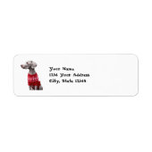Funny Weimaraner in Weihnachts-Sweater-Adresse (Vorne)