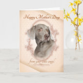 Funny Weimaraner Muttertagskarte Karte (Gelbe Blume)