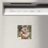 Funny Weird Puffy Eichhörnchen Zigarettenraucher Magnet (In Situ (Geschirrspüler))