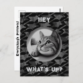 Funny What's up Niedlich Cat Animal Quotes Perfect Postkarte