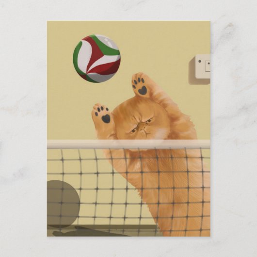 Funny Whimsical spielerisch Katze: Volleyball Postkarte (Vorderseite)