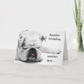 Funny White Bulldog Birthday Karte (Vorderseite)