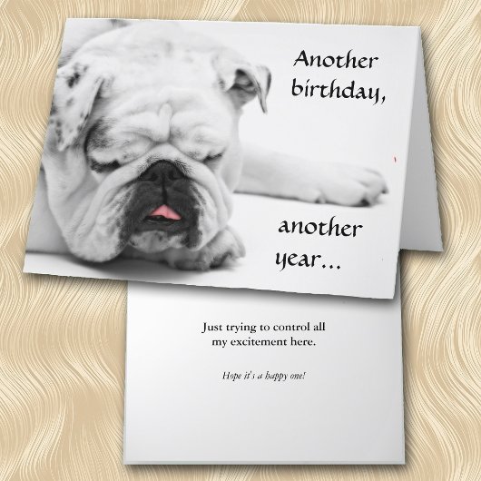 Funny White Bulldog Birthday Karte