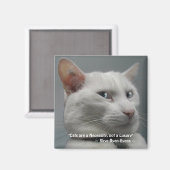 FUNNY WHITE CAT Magnet Serie (Vorderseite/Rückseite)