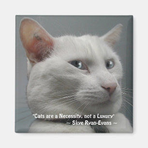 FUNNY WHITE CAT Magnet Serie