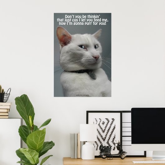 Funny White Cat Spaß Pet-Lover's Poster (Heimbüro)