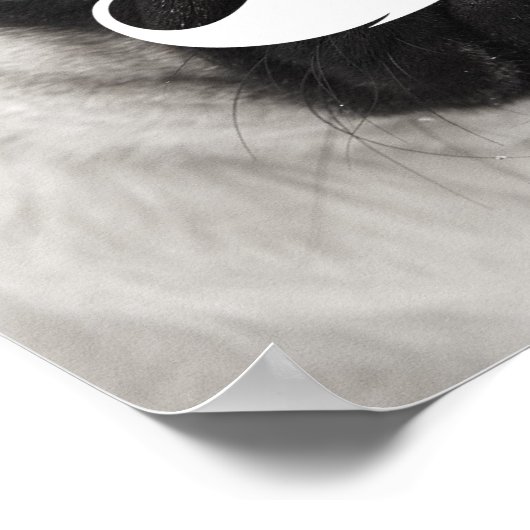 Funny White Mustache Mops Poster (Ecke)